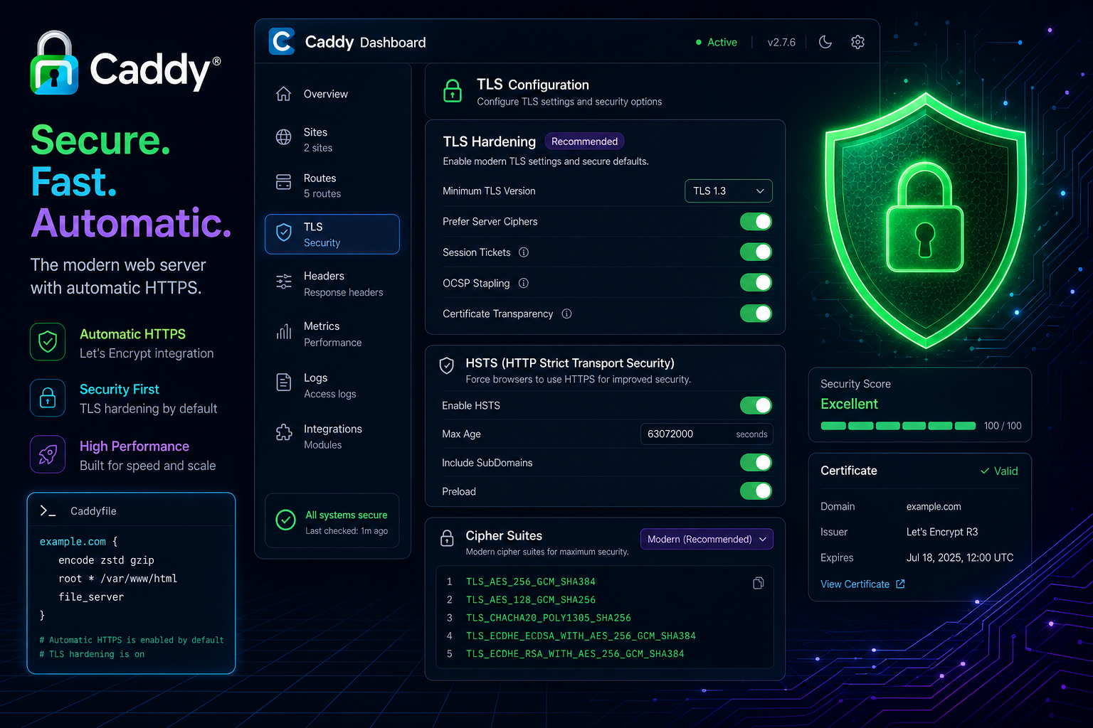TLS certificate hygiene for Caddy fronted self-hosted AI apps.